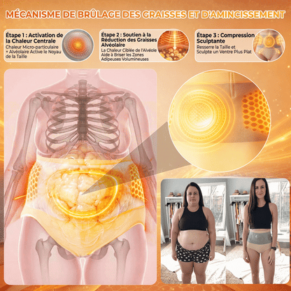 Boutique Officielle | 🤸🤸‍♂️ 𝐏𝐀𝐔𝐑𝐀𝐉𝐔® 2026 Short Sculptant & Brûle-Graisses 4-en-1 aux Micro-Particules de Moringa & Berbérine LYJ